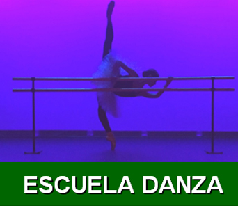 escuela danza 19