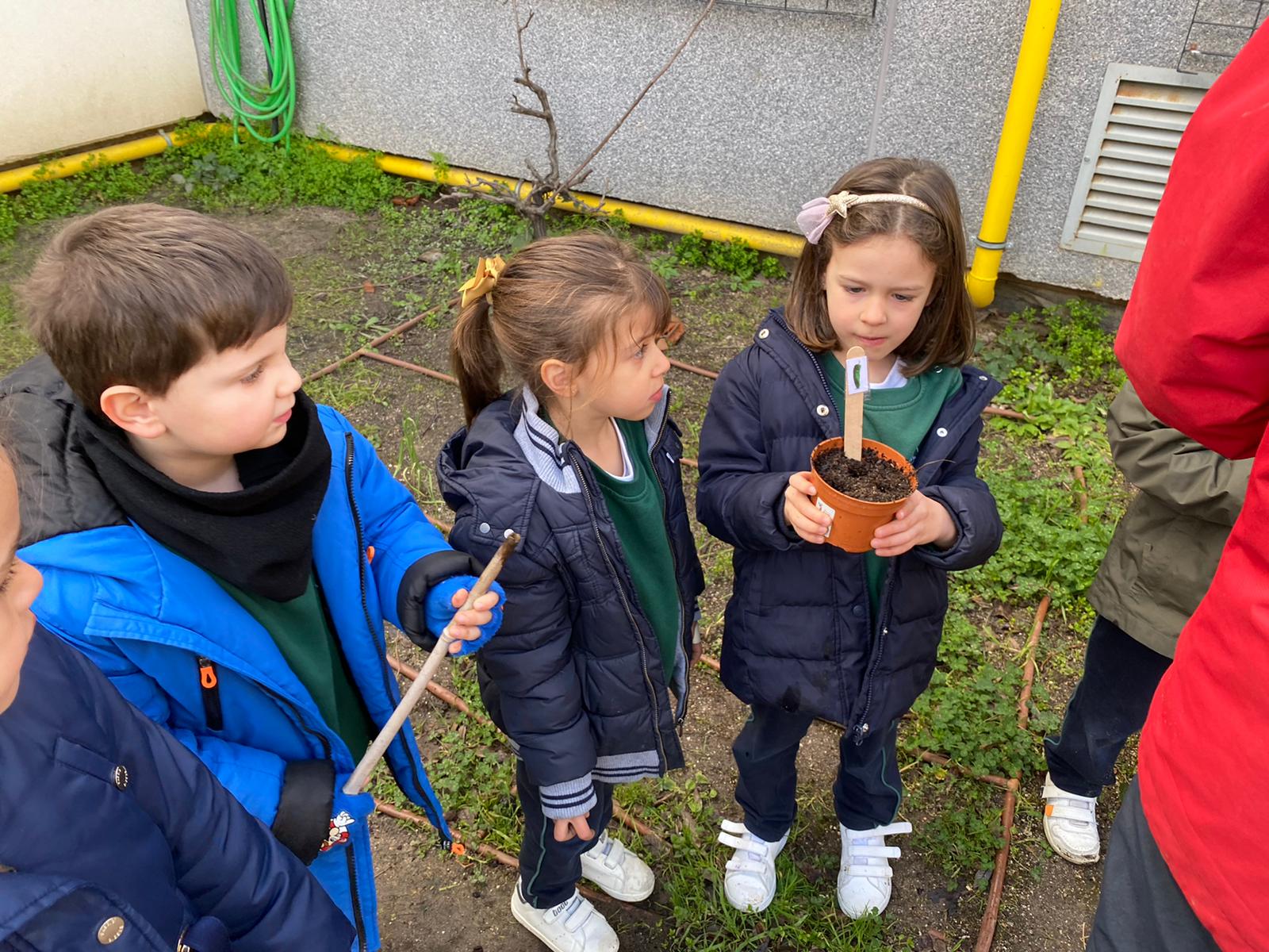 huerto-infantil-1