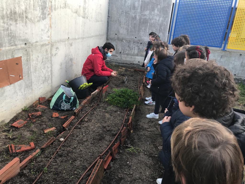 huerto-infantil-2